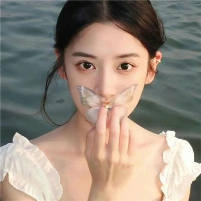 完美拍档2017